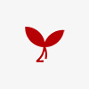 業(yè)務(wù)范圍 業(yè)務(wù)范圍