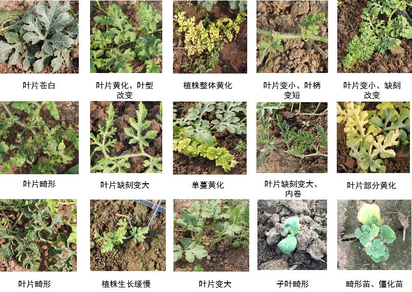 這是描述信息 這是描述信息