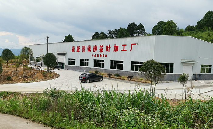 企業介紹
