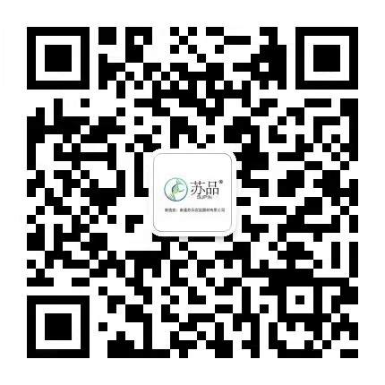公众号 公众号