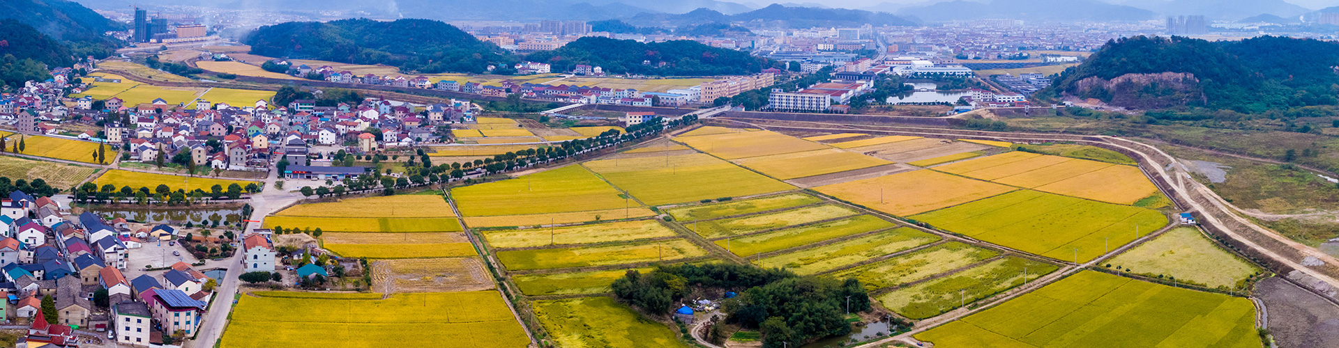這是描述信息 這是描述信息