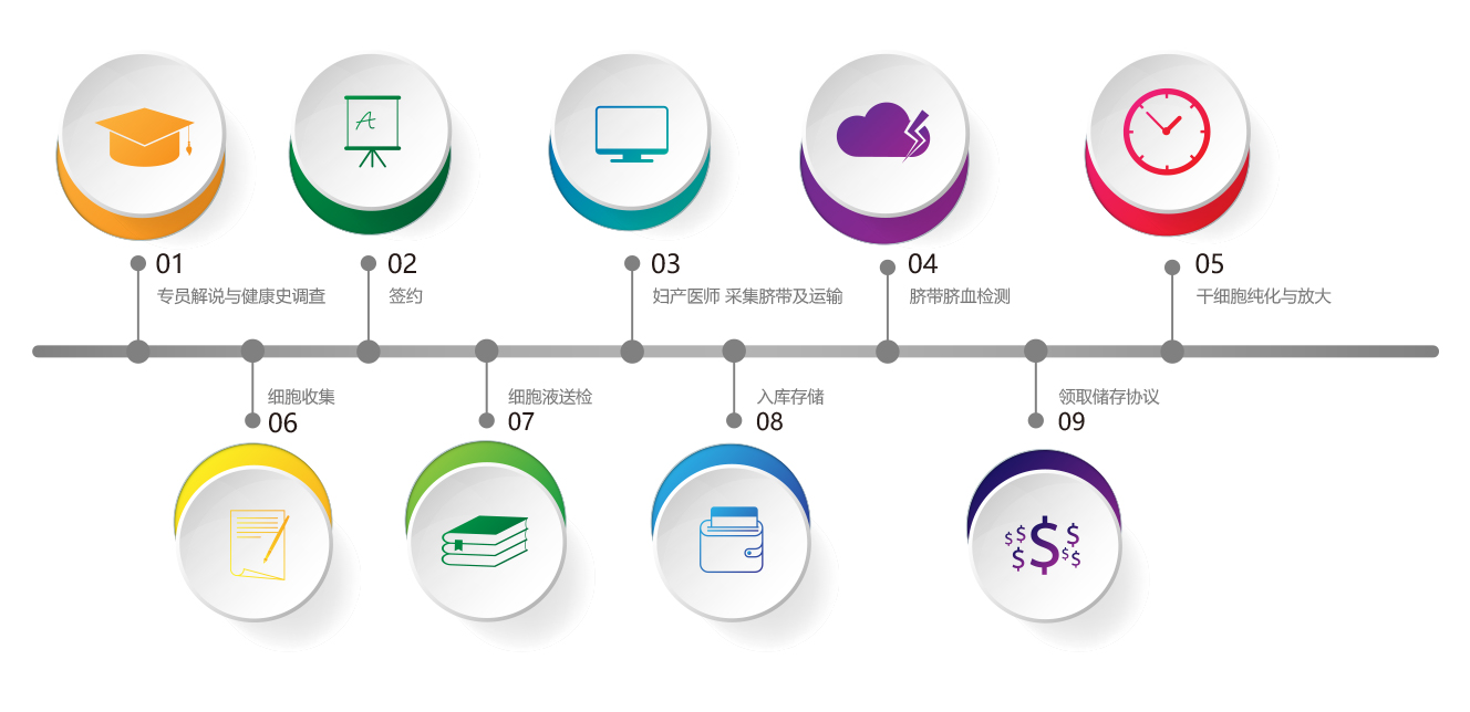 干細(xì)胞采集流程