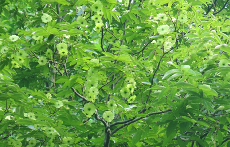 案例賞析