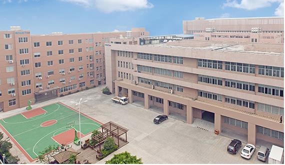 haitong haitong