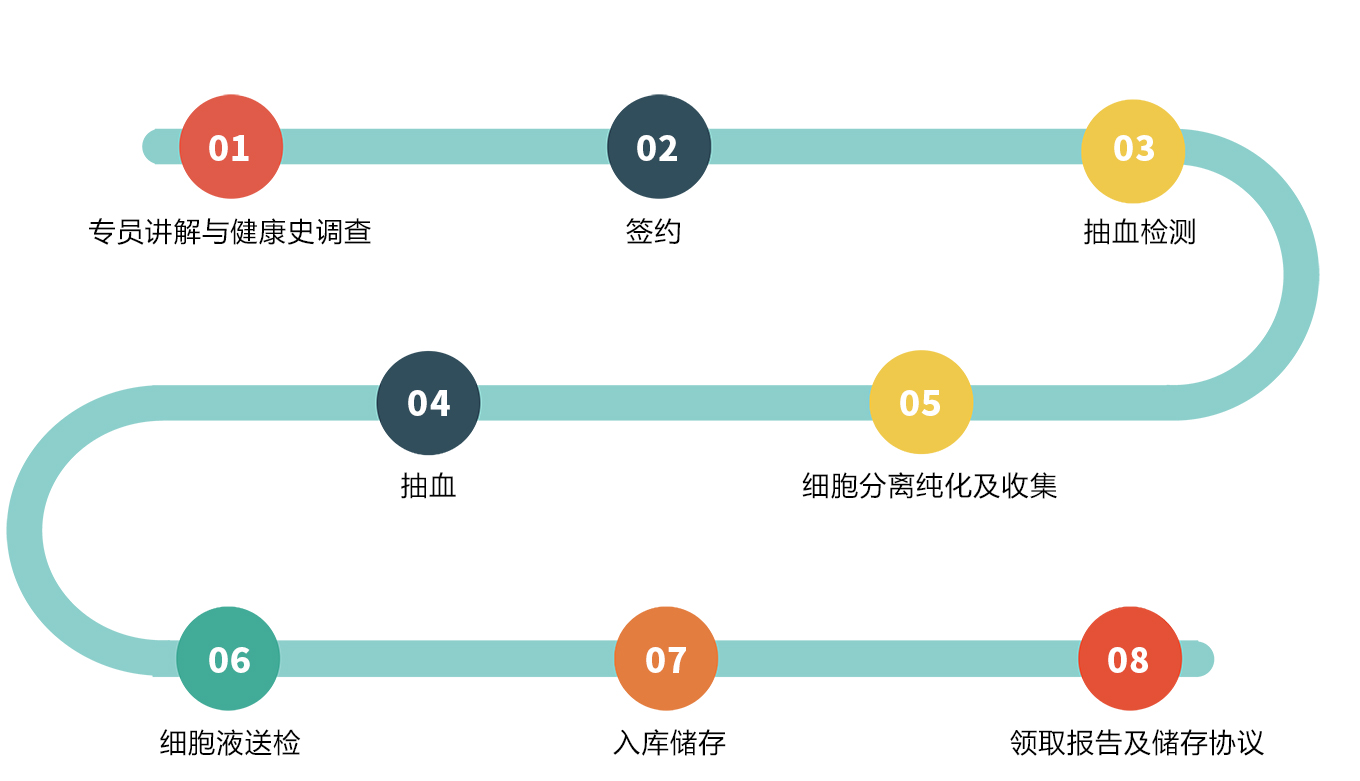 免疫细胞储存流程 免疫细胞储存流程