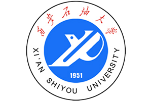 西安瑞杰實(shí)業(yè)股份有限公司