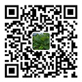 中創(chuàng)裝飾 中創(chuàng)裝飾