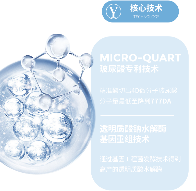 核心技术