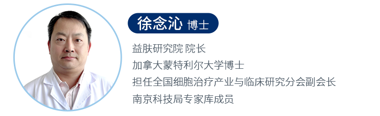 技术团队