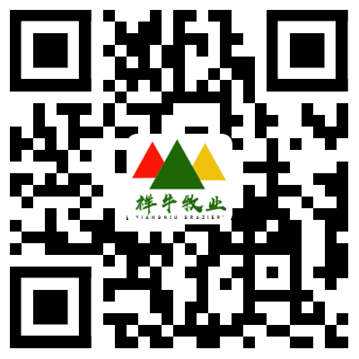 微信公眾號(hào)