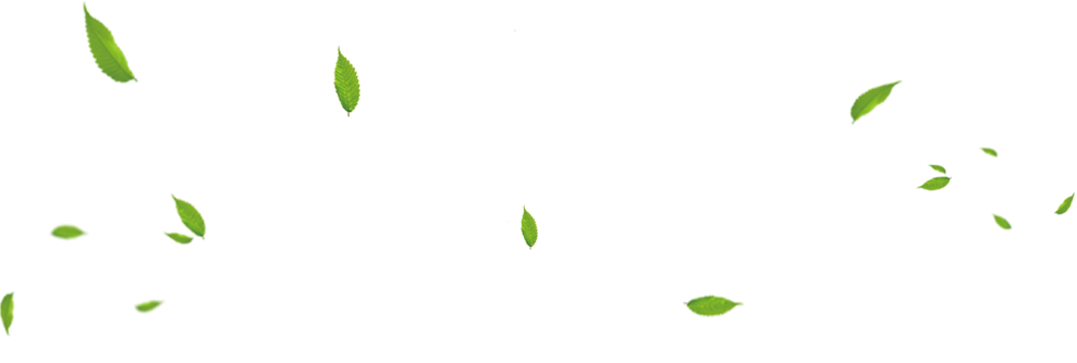  黑龙江孙斌IM体育官方网站农业开发集团