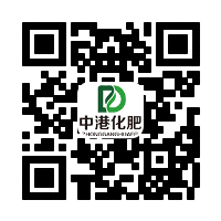 手机版