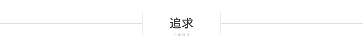 追求