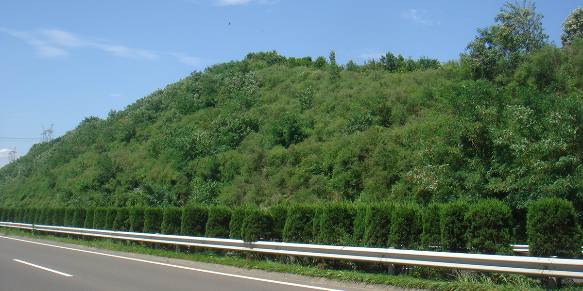 湖北回然護坡綠化工程有限公司 湖北回然護坡綠化工程有限公司