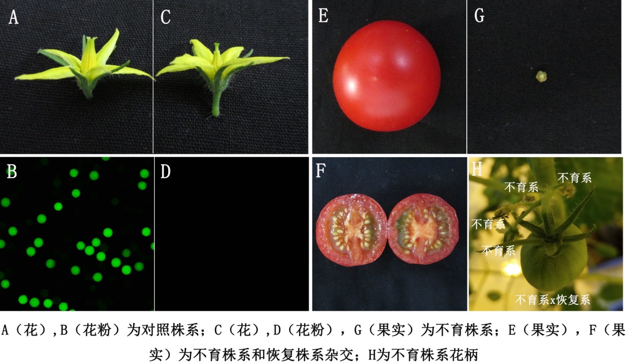 這是描述信息