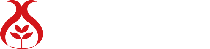 云粮中烧 云粮中烧