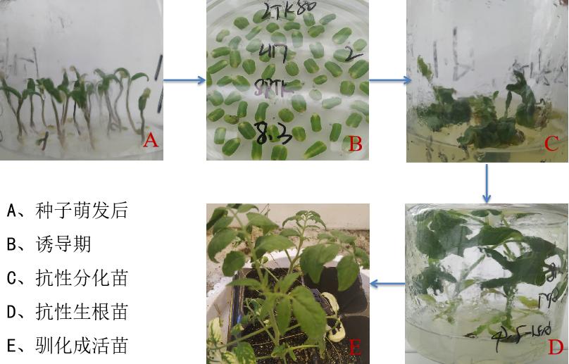 這是描述信息 這是描述信息