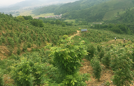 案例賞析
