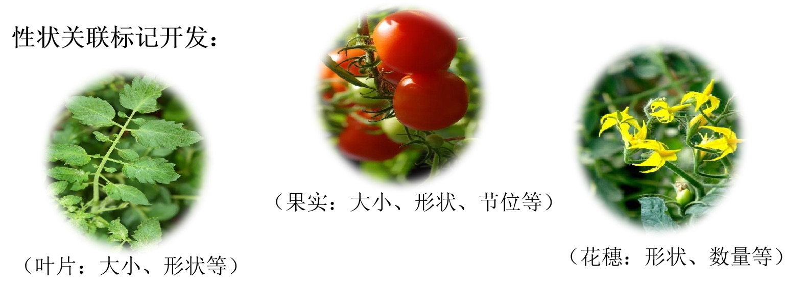 這是描述信息 這是描述信息
