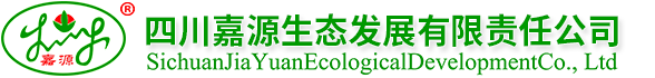 	彩世界下载生态