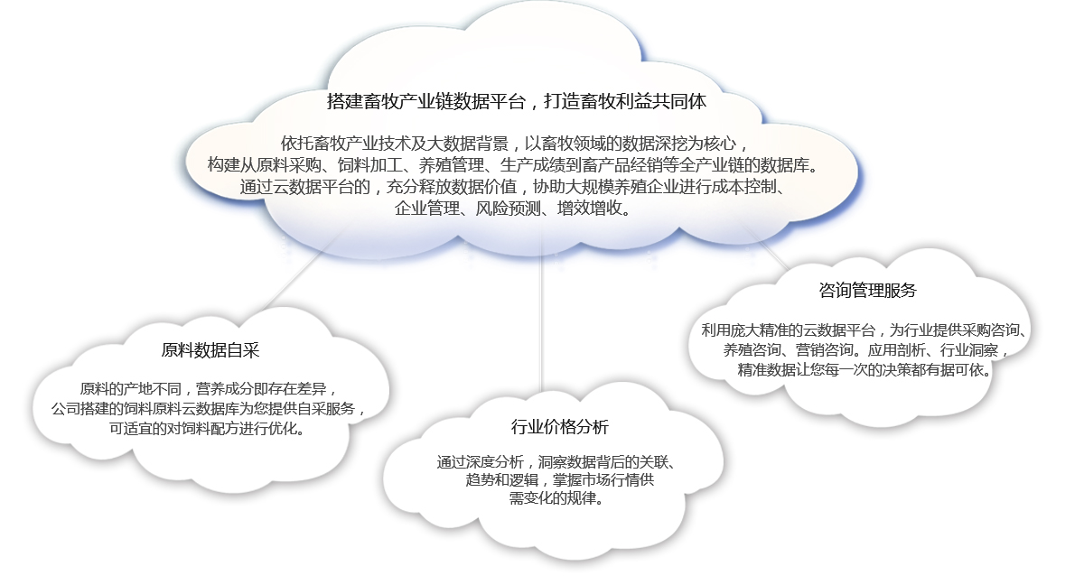 这是描述信息