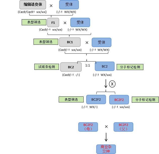 這是描述信息 這是描述信息
