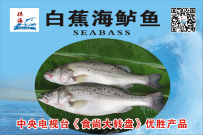 这是描述信息 这是描述信息