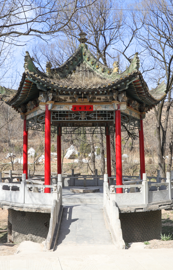 公司新闻