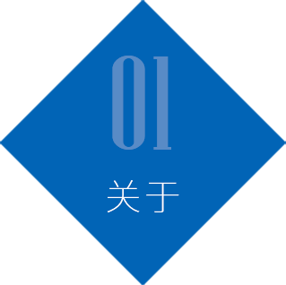 这是描述信息
