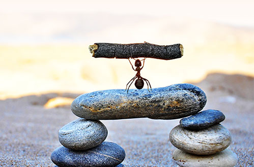 企業(yè)優(yōu)勢(shì) 企業(yè)優(yōu)勢(shì)