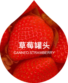 雨蝶
