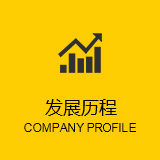 发展历程