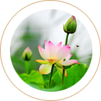 祥強(qiáng)農(nóng)業(yè)