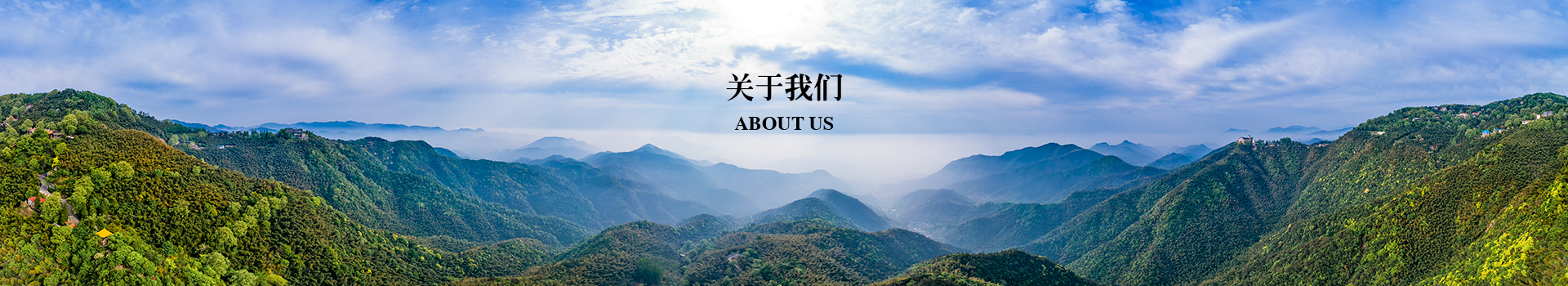 這是描述信息