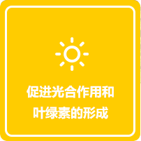 imgboxbg