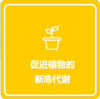 imgboxbg