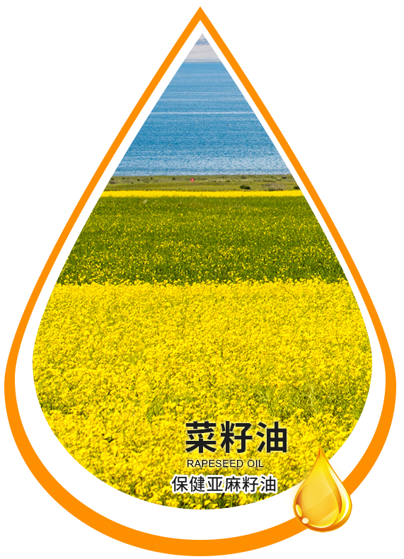 安康
