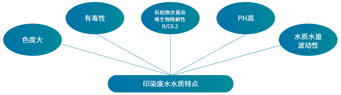 瑞潔特 瑞潔特