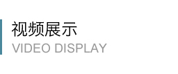 思达蓓丽