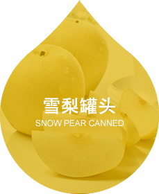 雨蝶