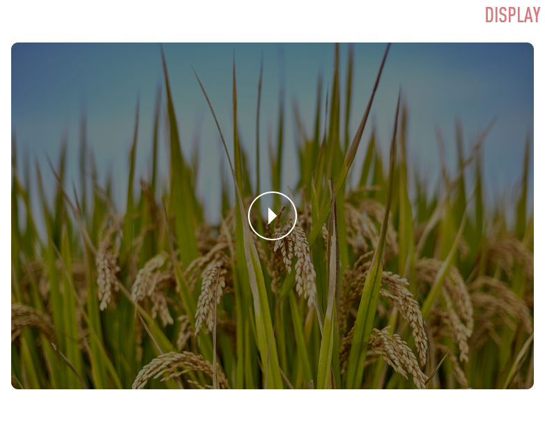 video display