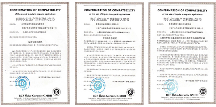 公司榮譽 公司榮譽