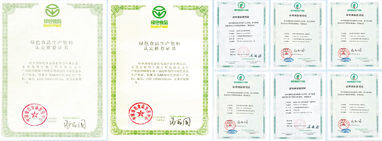 公司榮譽 公司榮譽
