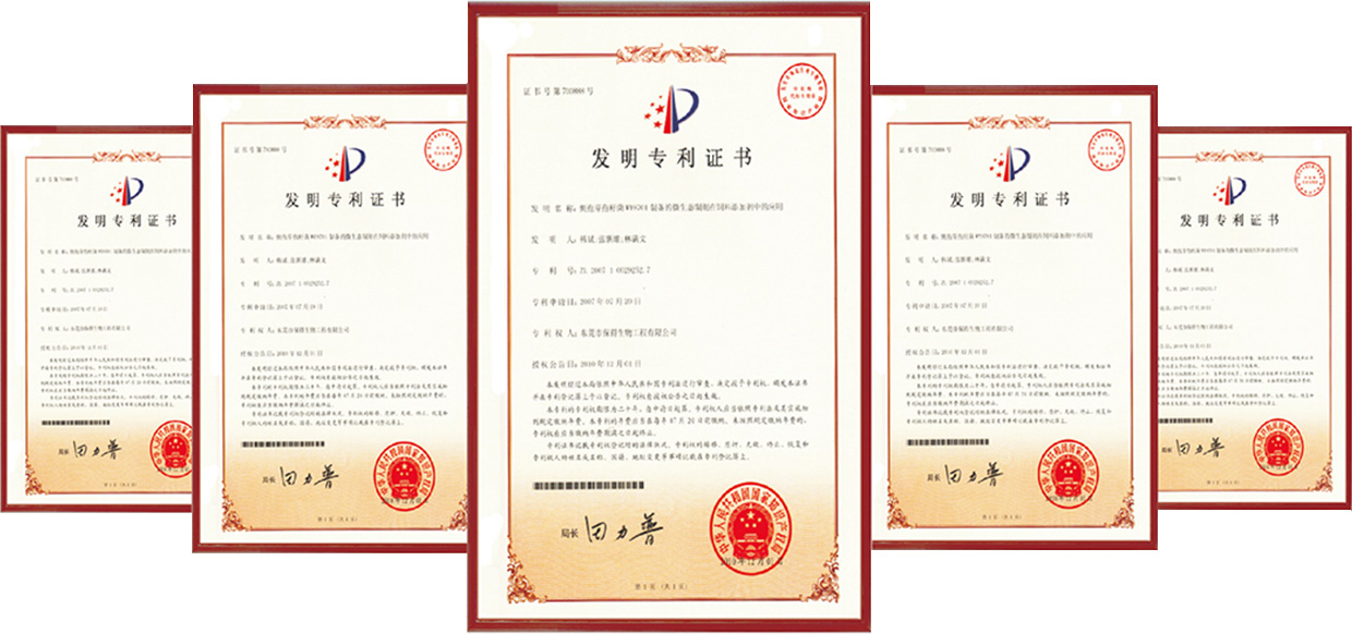 公司榮譽 公司榮譽
