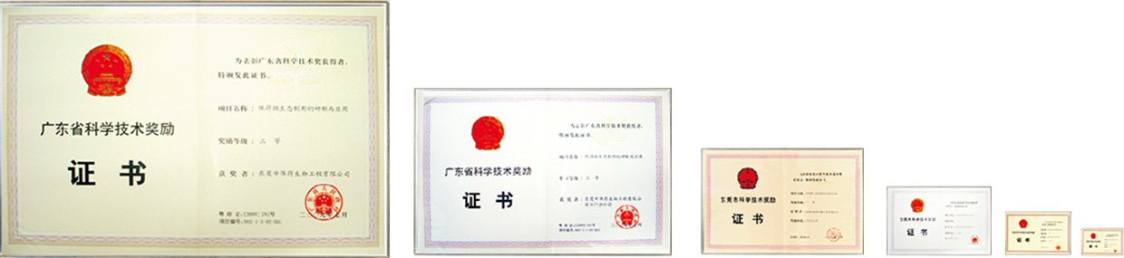 公司榮譽 公司榮譽
