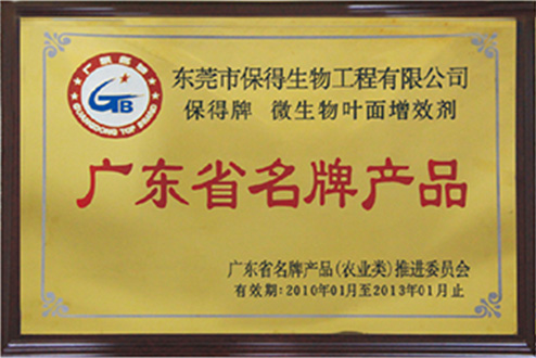 公司榮譽 公司榮譽