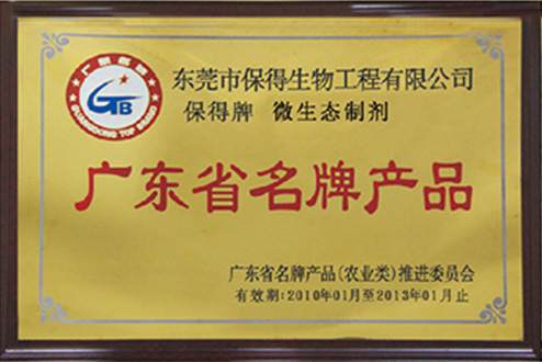 公司榮譽 公司榮譽