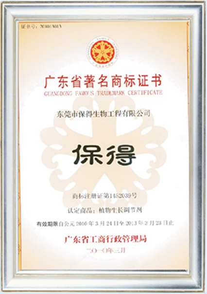 公司榮譽 公司榮譽