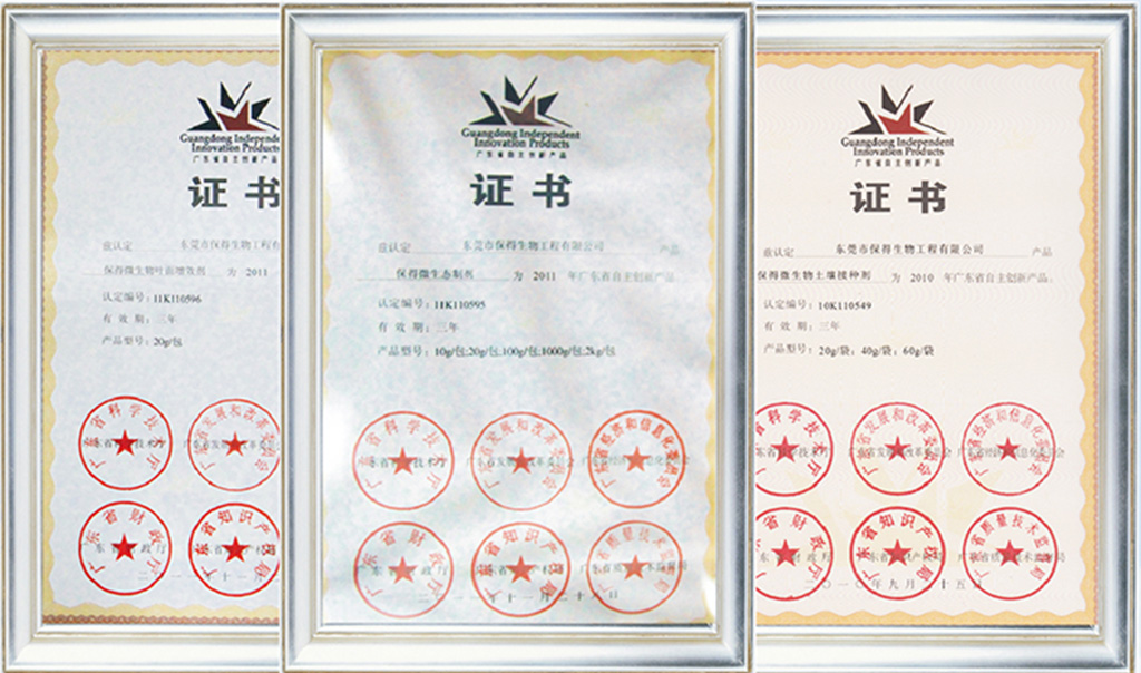 公司榮譽 公司榮譽