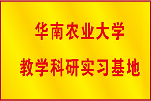 公司榮譽 公司榮譽